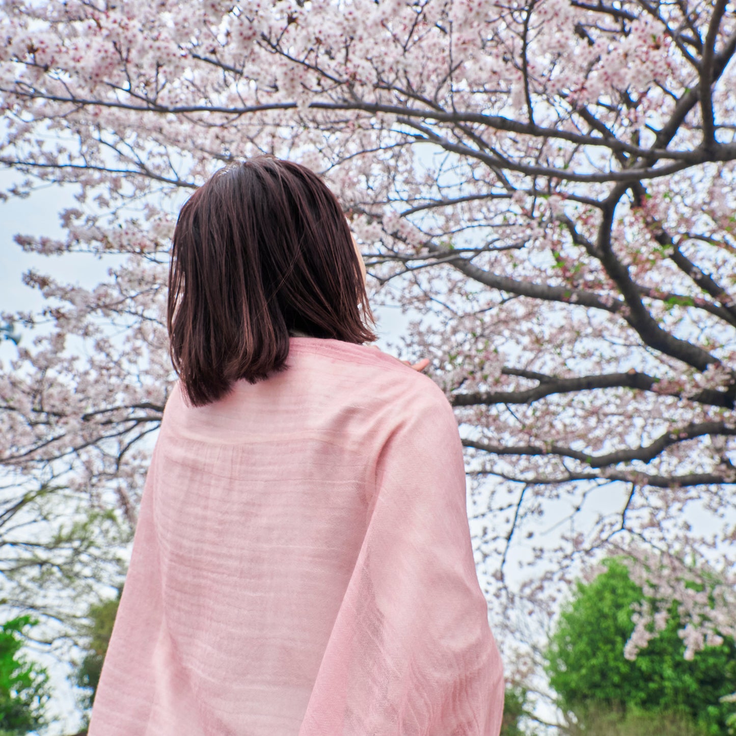 ふわりと軽くて柔らかい カシミヤストール -春夏におすすめの4color